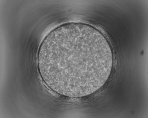 X0000115211191200912091151