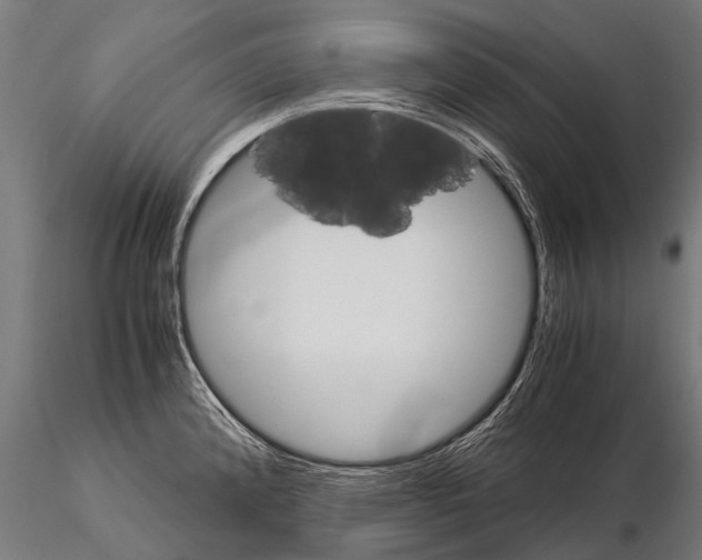 X0000115211192200912091151