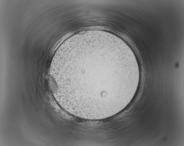 X0000115211193200912091151