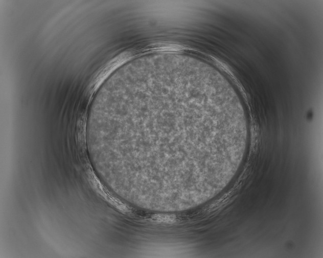 X0000115211194200912091151