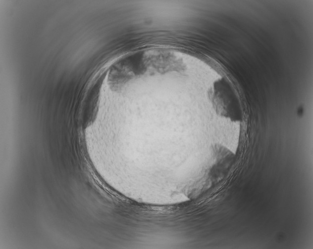 X0000115211195200912091151