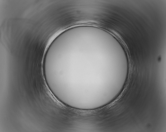 X0000115211196200912091151