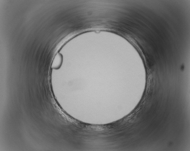 X0000115211197200912091151