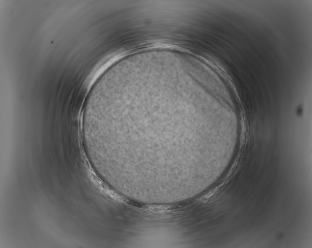 X0000115211198200912091151