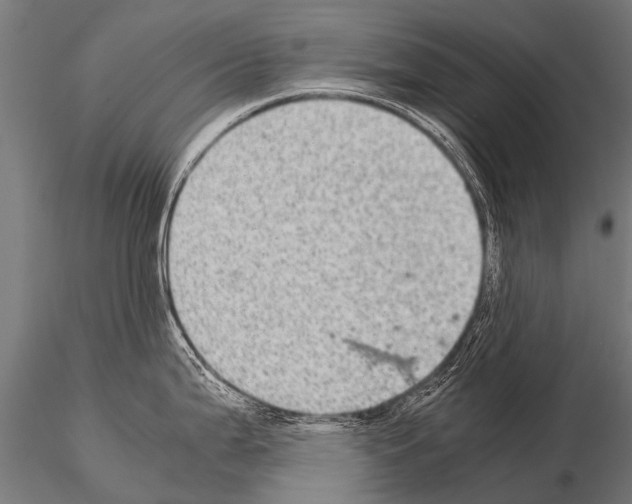 X0000115211199200912091151