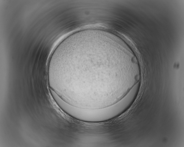 X0000115211200200912091151