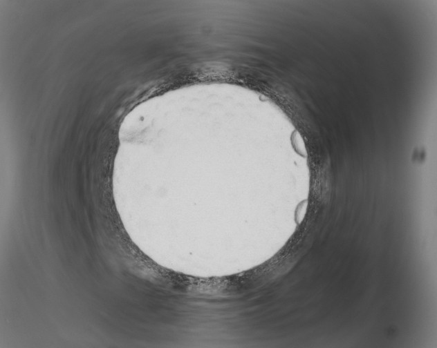 X0000115211201200912091150