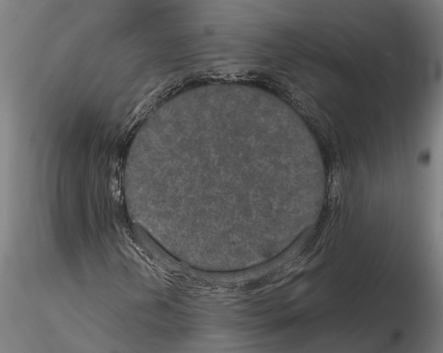 X0000115211202200912091150