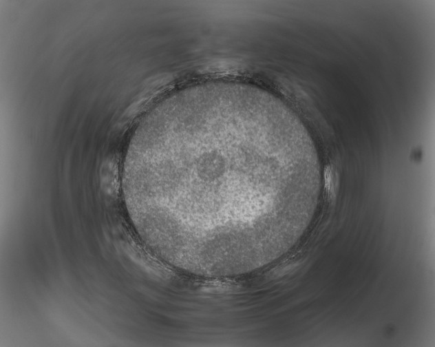 X0000115211203200912091150