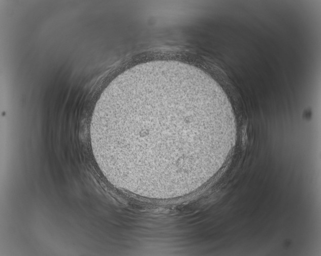 X0000115211204200912091150