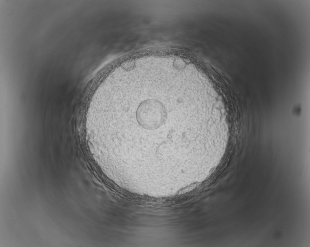 X0000115211206200912091150