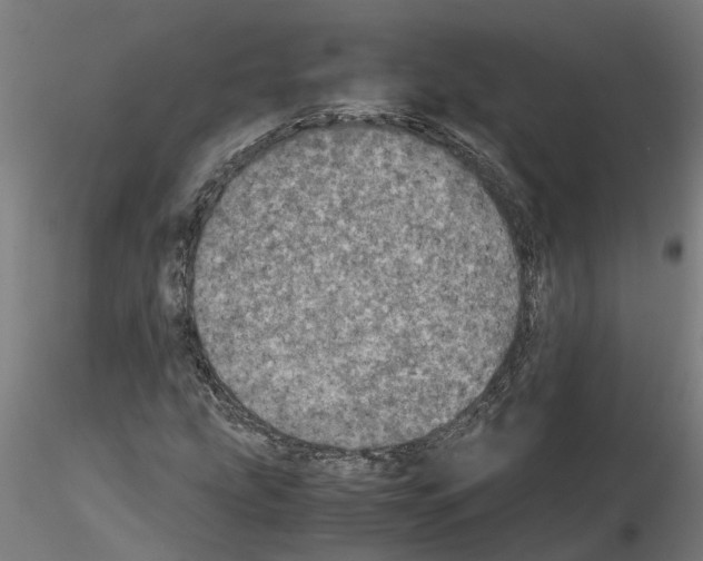 X0000115211207200912091150