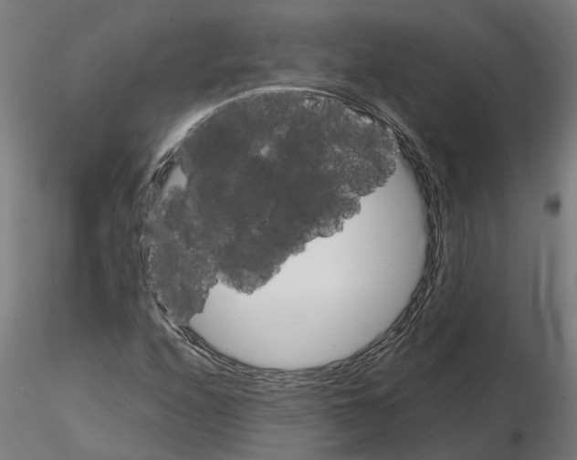 X0000115211208200912091150