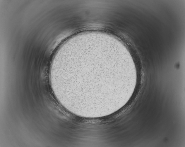 X0000115211210200912091150