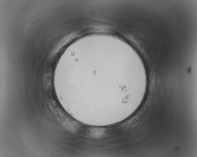 X0000115211211200912091150