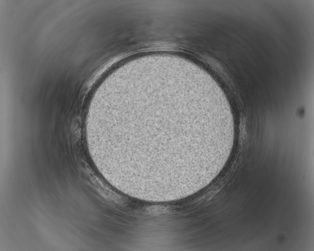 X0000115211212200912091150