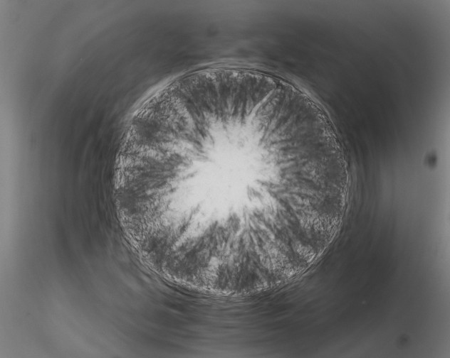 X0000115211213200912091150