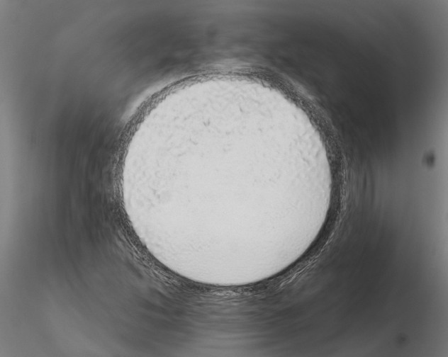 X0000115211214200912091150