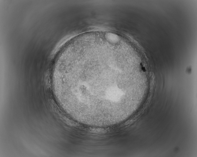 X0000115211215200912091150