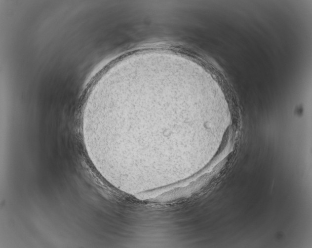 X0000115211216200912091150