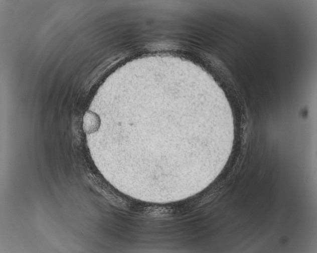 X0000115211217200912091150