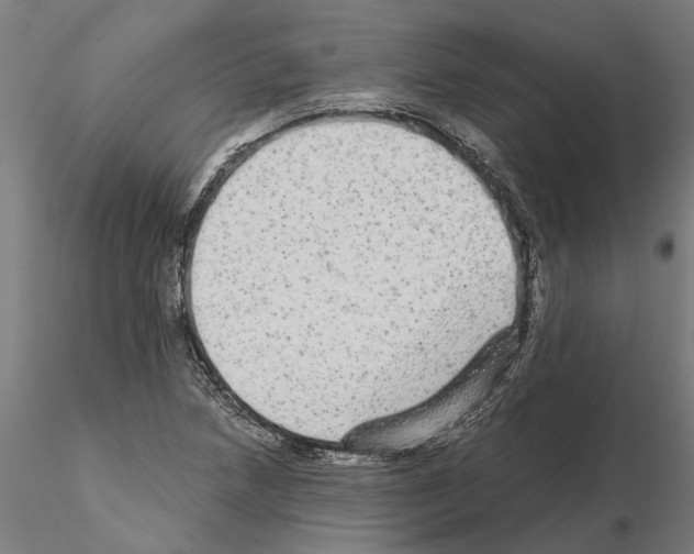 X0000115211218200912091150