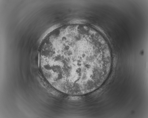 X0000115211219200912091150