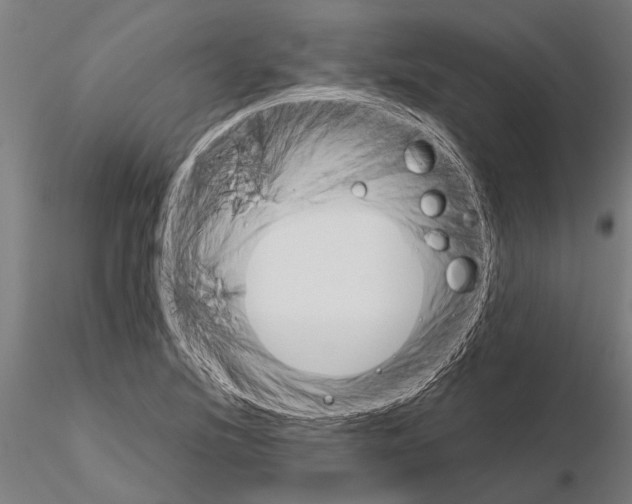 X0000115211220200912091150