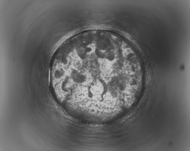 X0000115211221200912091150