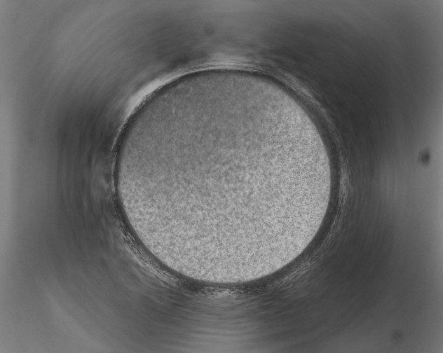 X0000115211222200912091150