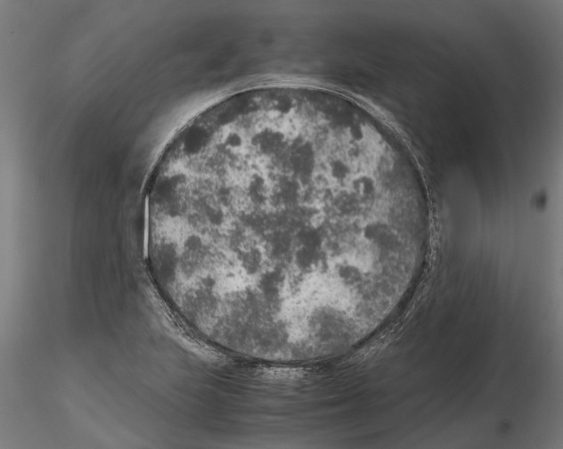 X0000115211223200912091150