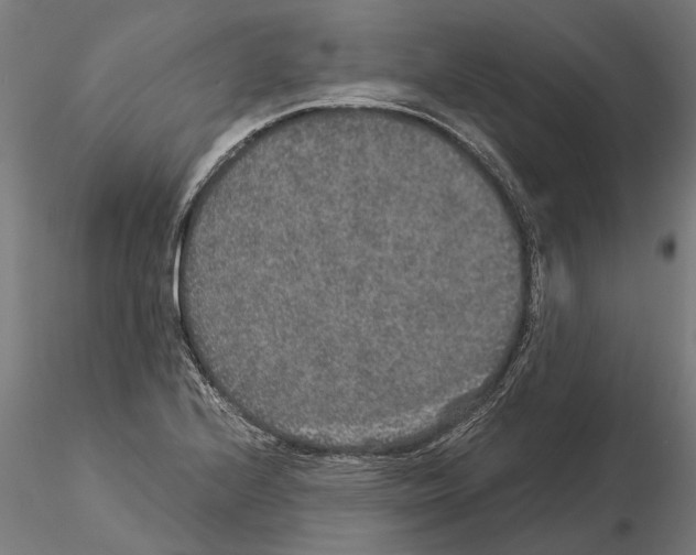 X0000115211224200912091150