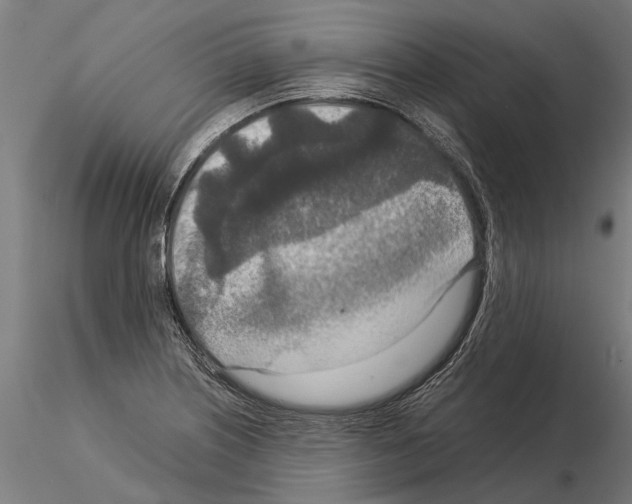 X0000115211226200912091150