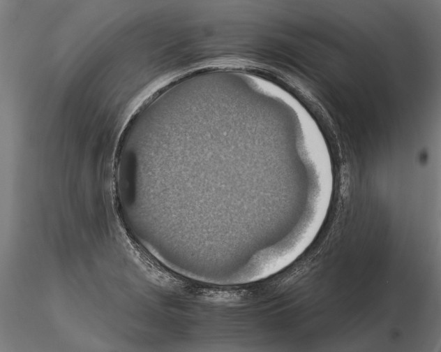 X0000115211229200912091151