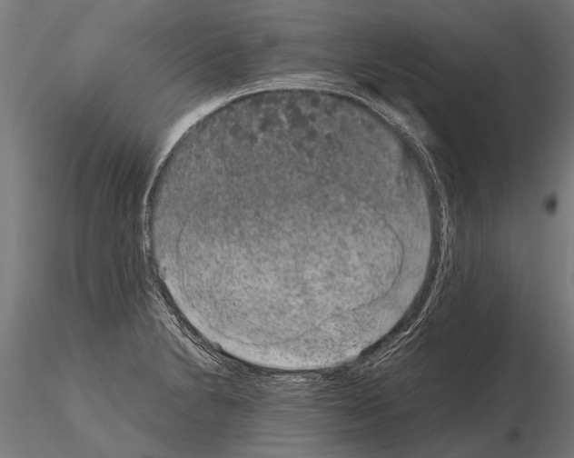 X0000115211230200912091151