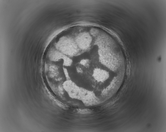 X0000115211231200912091151