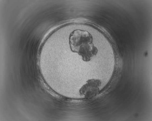 X0000115211232200912091151