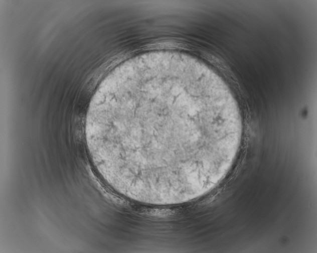 X0000115211233200912091151