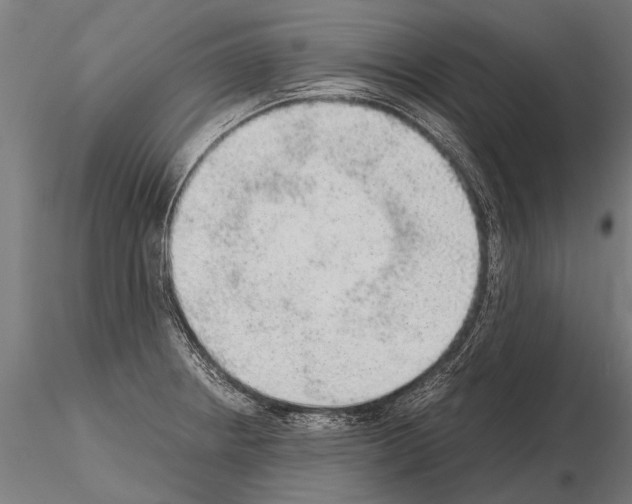 X0000115211234200912091151