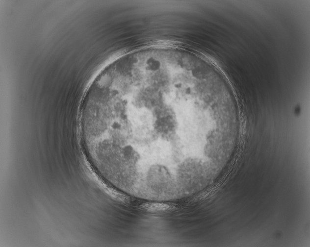 X0000115211235200912091151