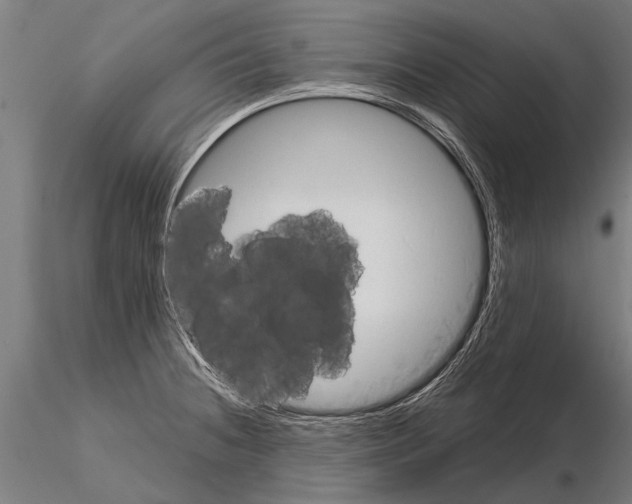 X0000115211236200912091151