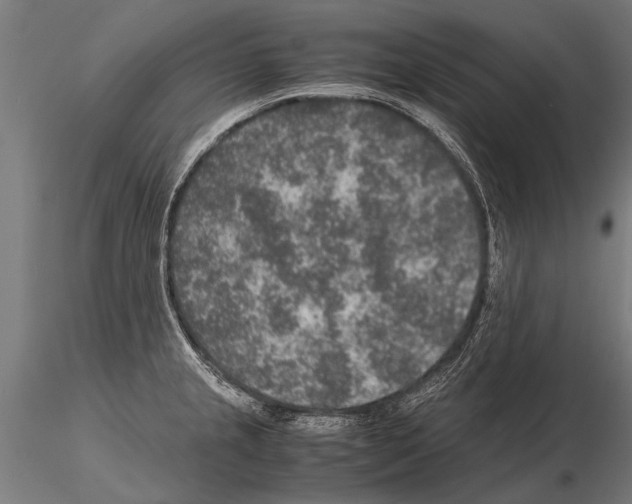 X0000115211237200912091151