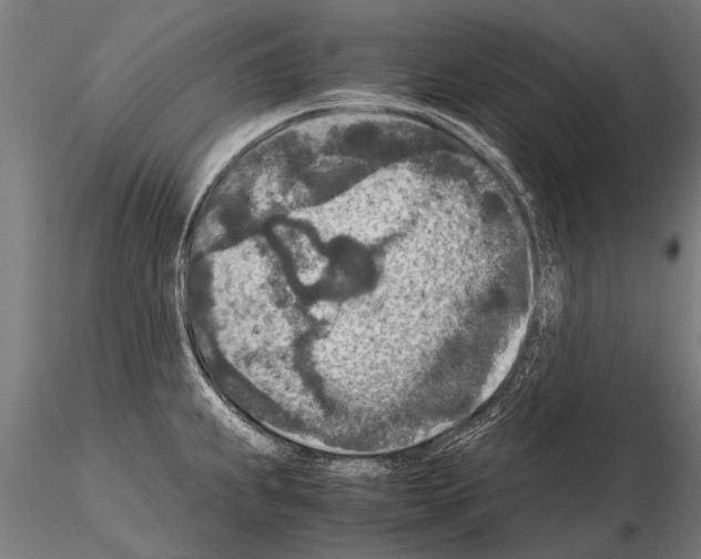 X0000115211239200912091151