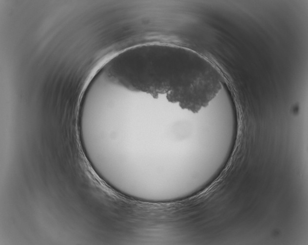 X0000115211240200912091151