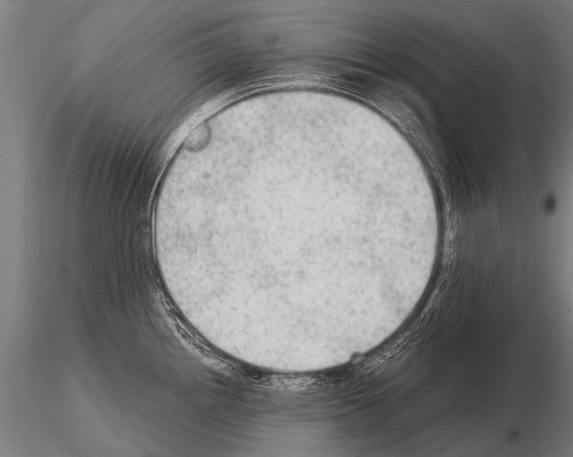 X0000115211242200912091151