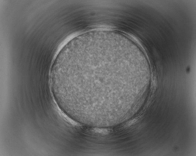 X0000115211243200912091151