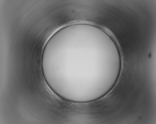 X0000115211244200912091151