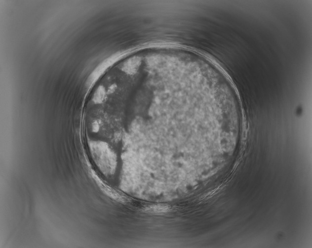 X0000115211245200912091151