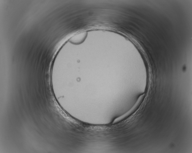 X0000115211246200912091151