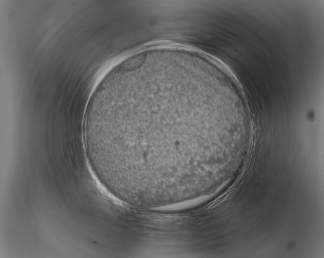 X0000115211247200912091151